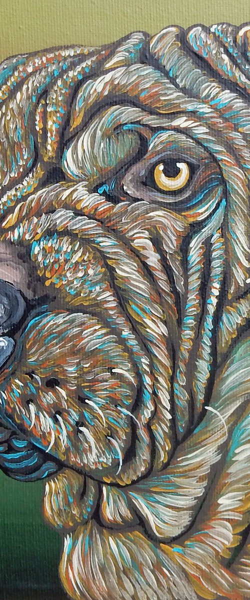 Shar-Pei by Carla Smale