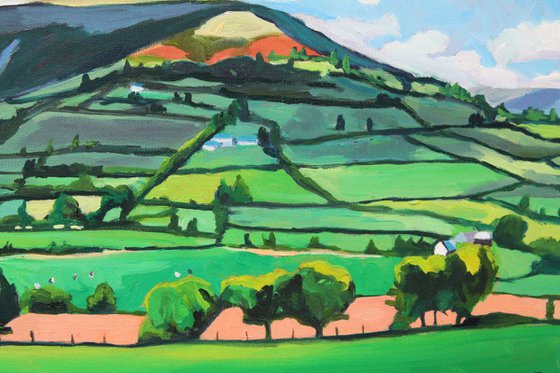 A Patchworked Skirrid