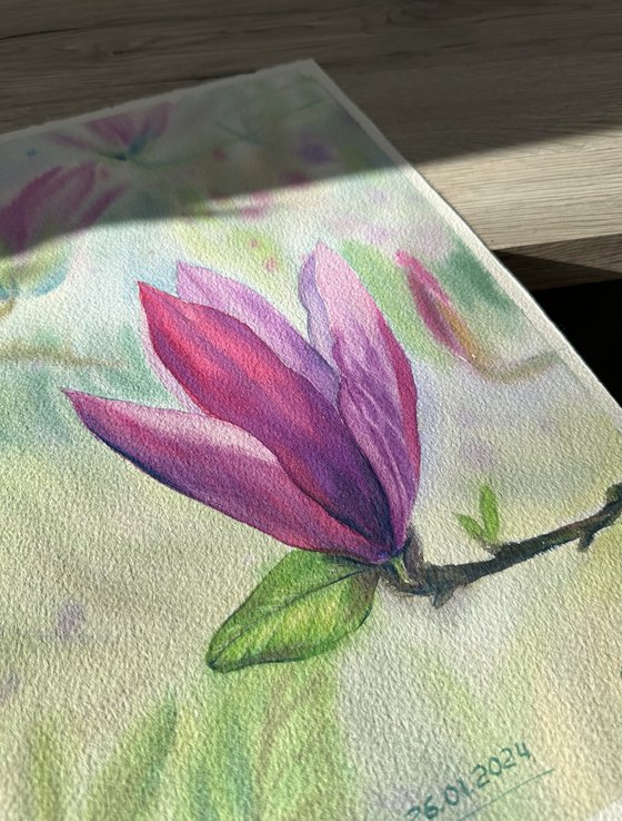 Blooming Pink Magnolia