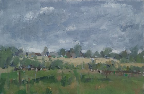 Rainclouds over the Fields