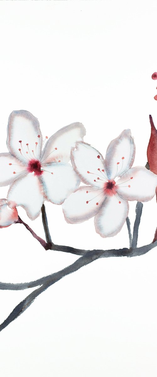 Cherry Blossom No. 27 by Elizabeth Becker