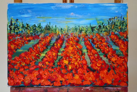 Poppies Field
