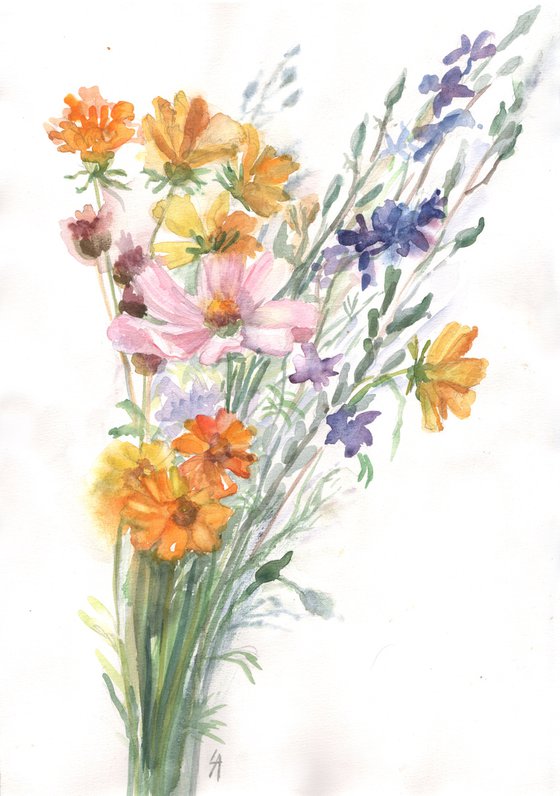Cosmea surrounded by wildflowers