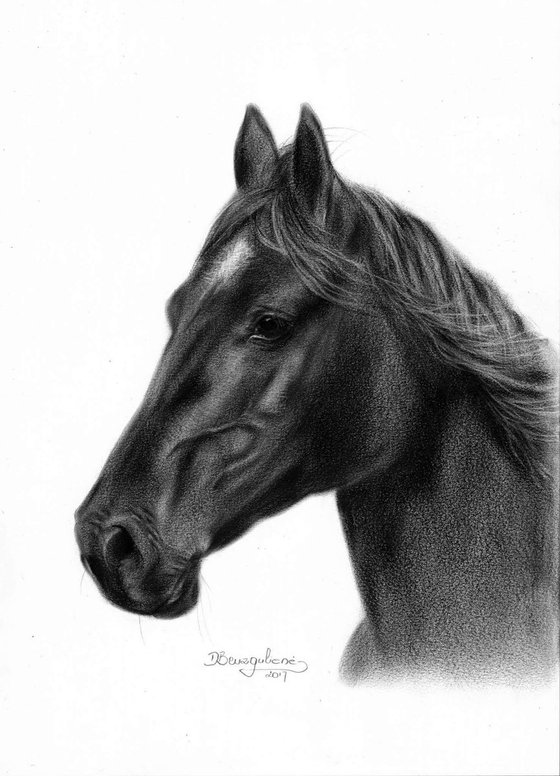 Oil painting ,, Black horse,,