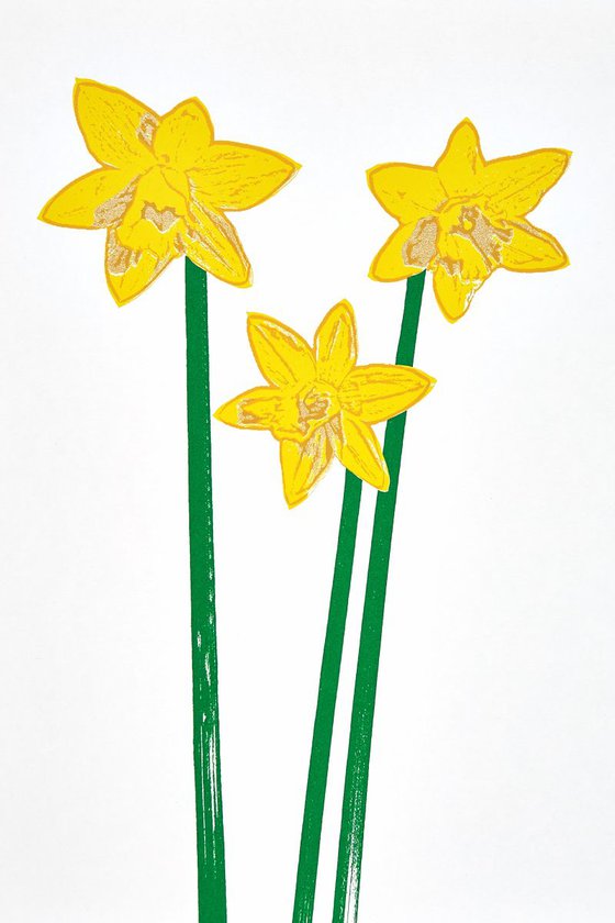 Daffodils 2