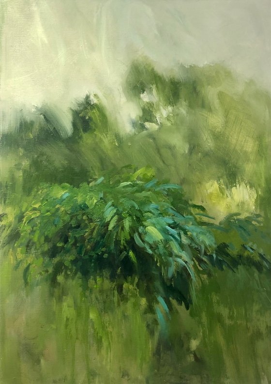 Rain Drenched