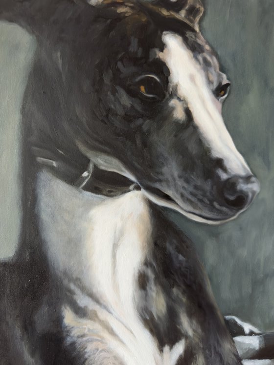 The Whippet