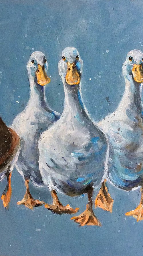 Reservoir Ducks by Louise Brown