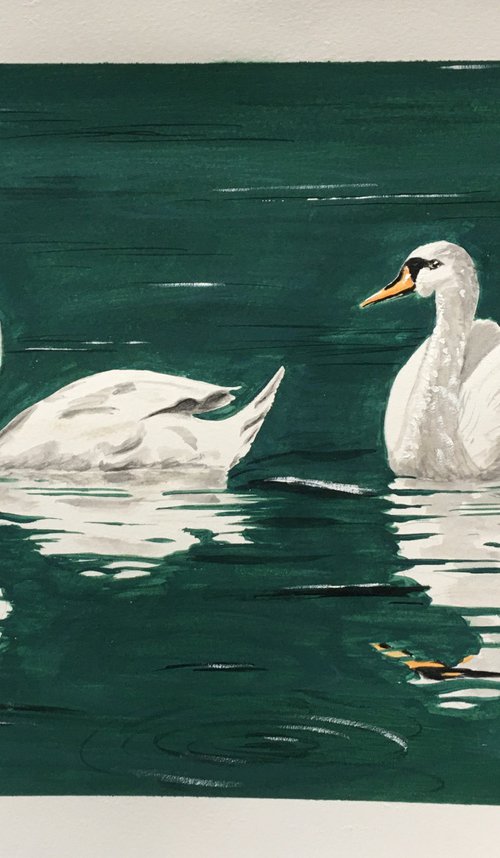 Swimming Swans by Laurence Wheeler