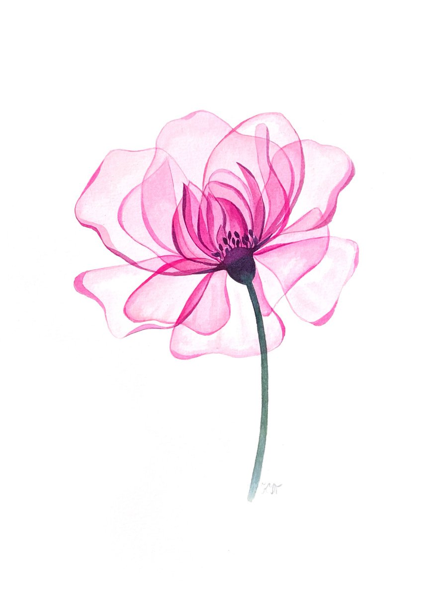 Transparent flower by Ksenia Tikhomirova
