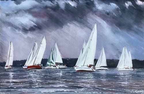 Wind in the sails by Darren Carey