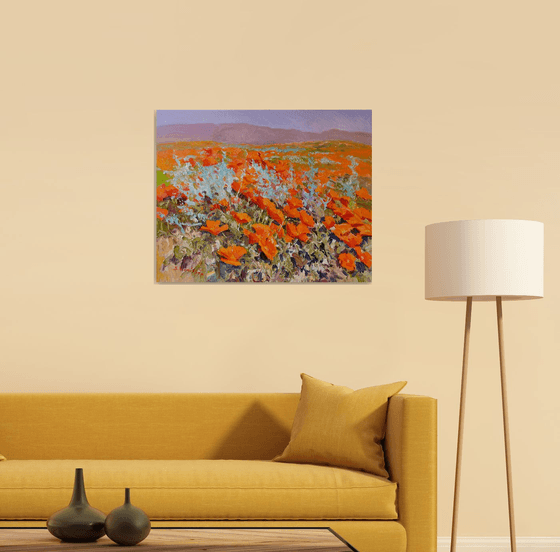 California Poppies