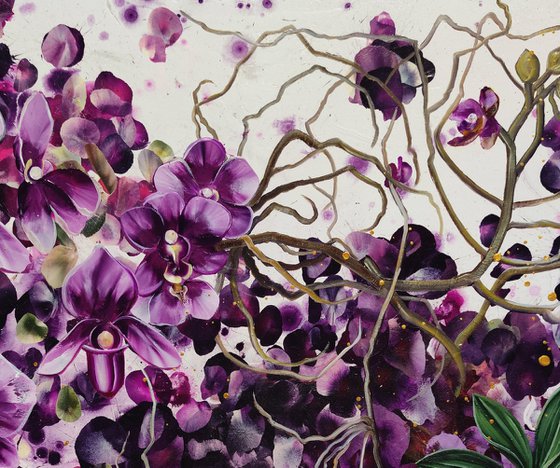 Mauvine, Purple Orchids