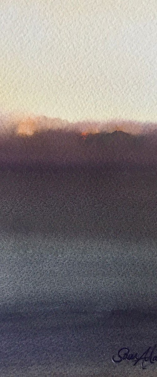 December light by Samantha Adams