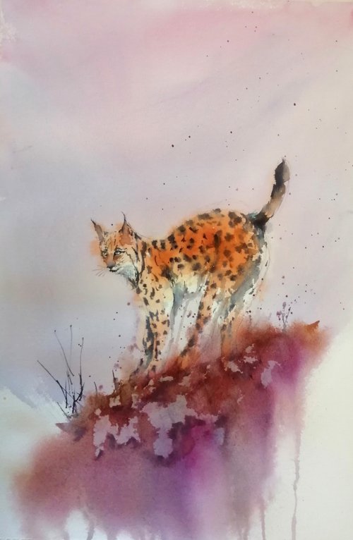 Lynx by Giorgio Gosti