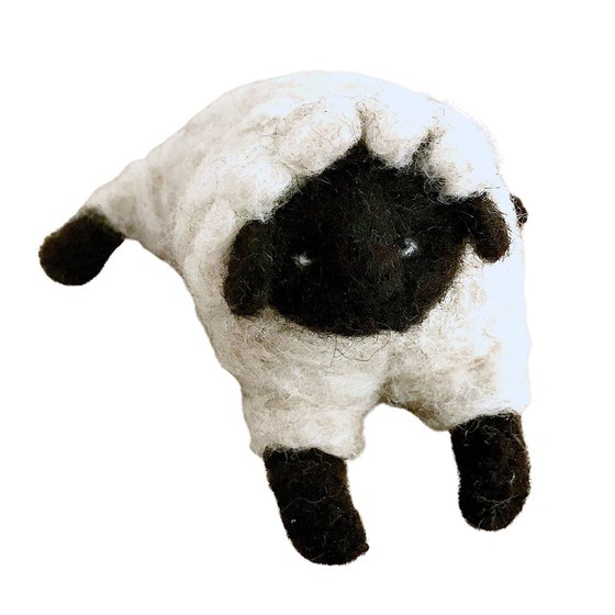 Black-headed sheep, wool