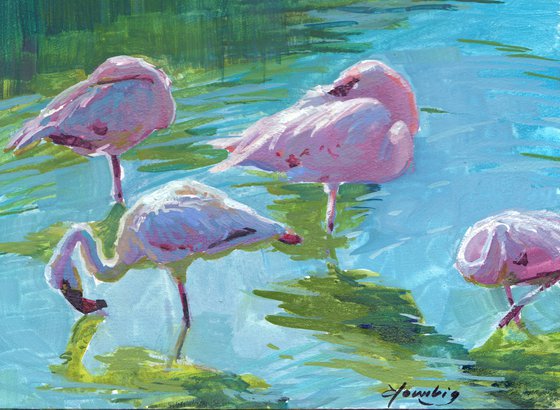 Pink Flamingos