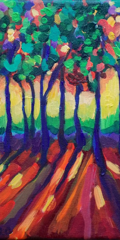 Little  enchanted forest by Maja Grecic