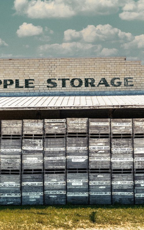 Apple Storage by Robert Tolchin