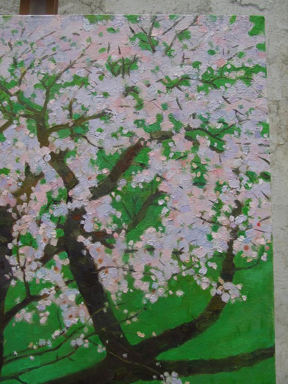 Spring Guardian