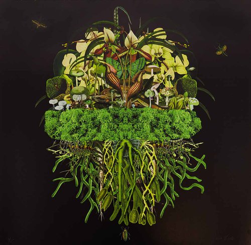 Botanical Thoughts: Millpond by Jana Nicole