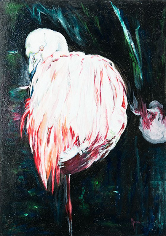 Flamingo