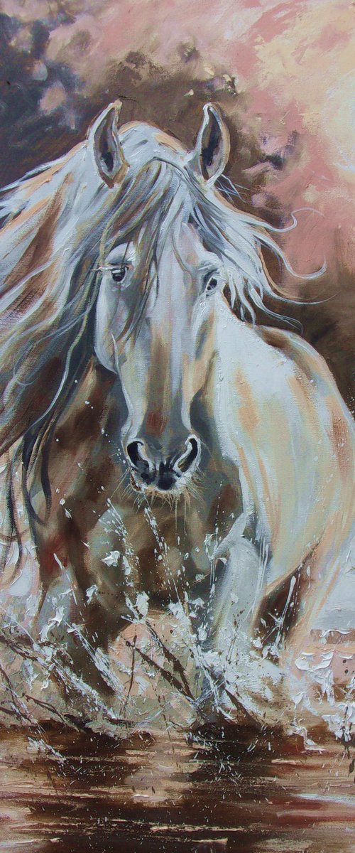 " MORNING DREAM WHITE HORSE " by Monika Luniak