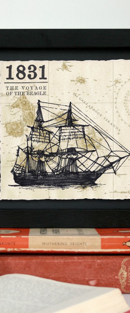 1831 - The Voyage of the Beagle by Peter Walters