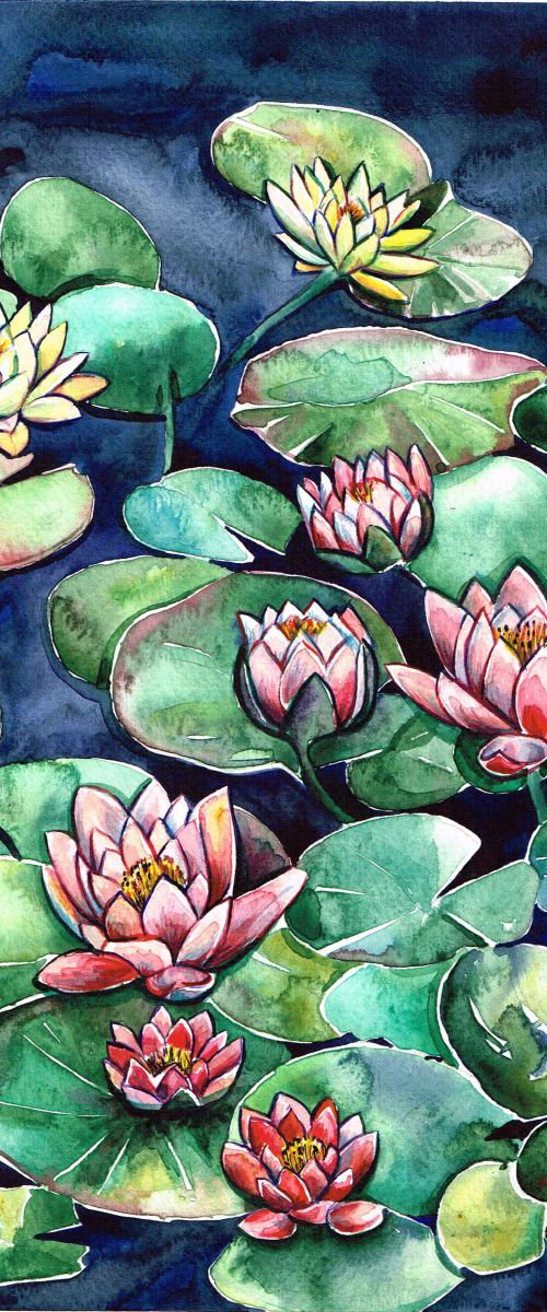 Waterlilies flower by Diana Aleksanian