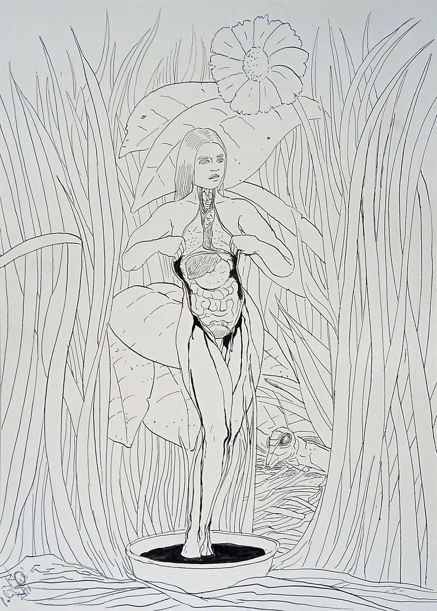 Illustrative Portrait Ink Drawing By Paolo Beneforti, 8 X 12", Queen Of The Pond, Original Artwork
