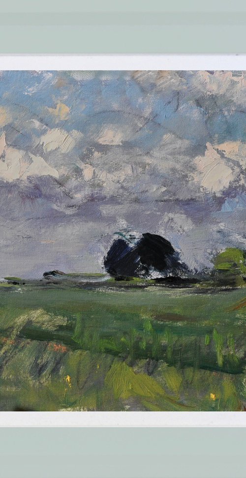 Field near Yapton by Andre Pallat