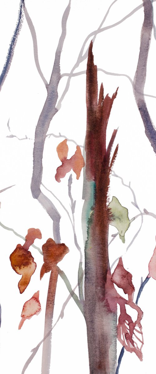 The Woods No. 121 by Elizabeth Becker