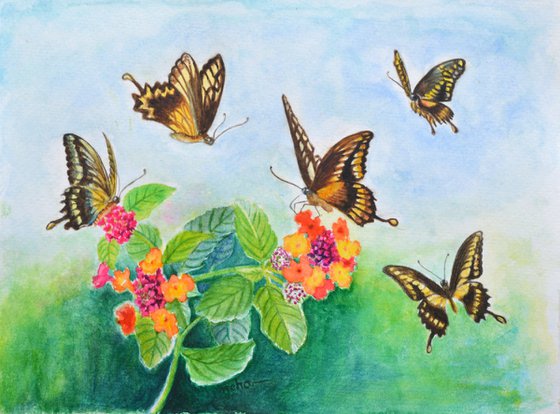 Butterflies