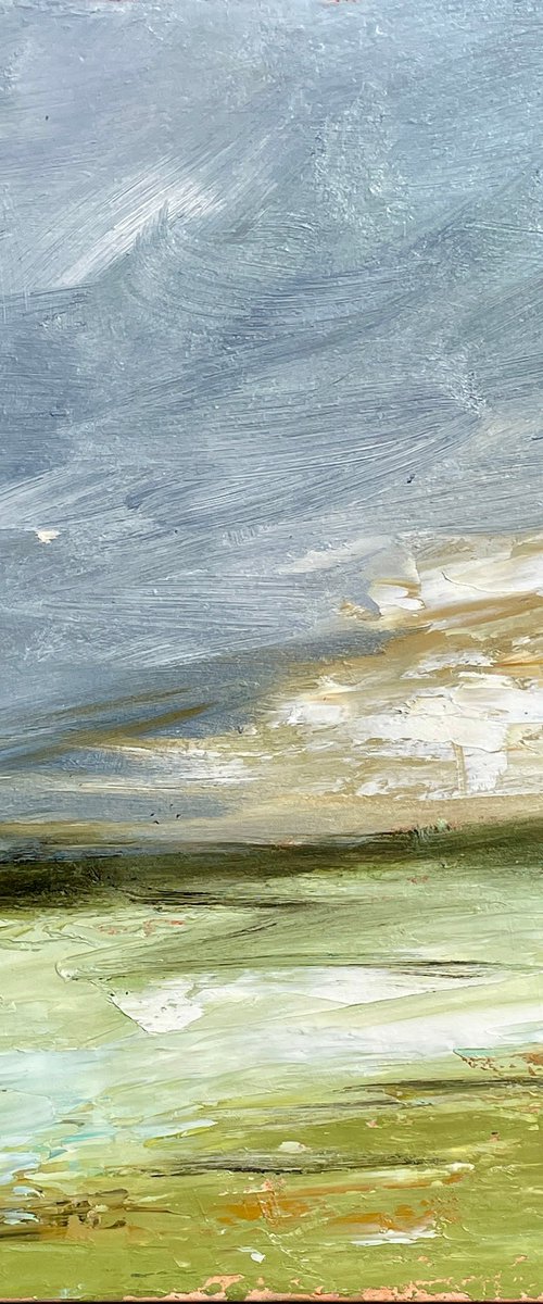 Skylark Field by Sherry Edmondson