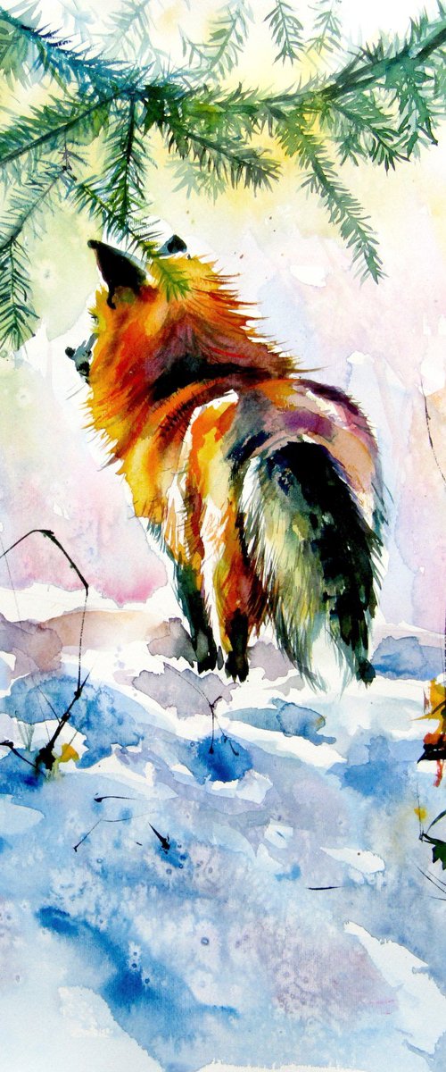 Red fox watching wintertime by Kovács Anna Brigitta