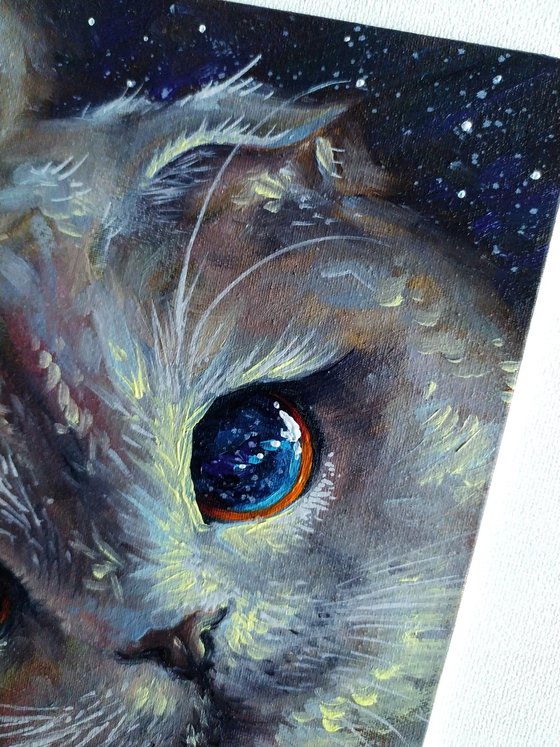 Galaxy cat