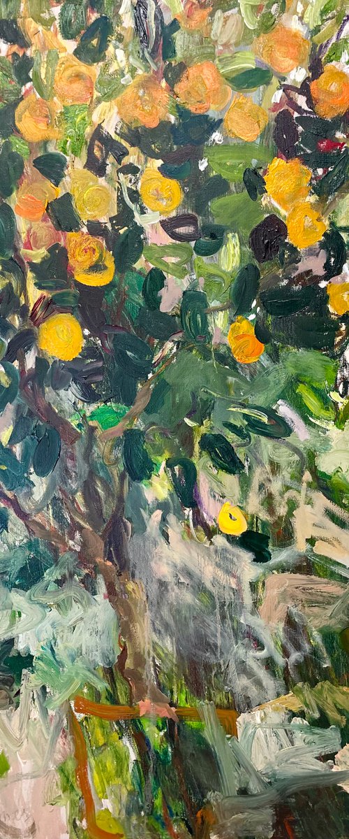 Watching an orange tree grow. by Lilia Orlova-Holmes