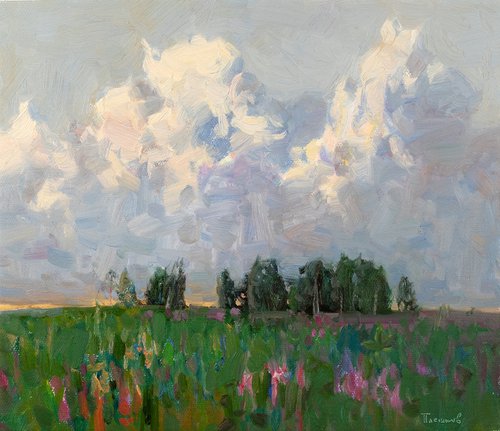 Evening cloud by Alexey Pleshkov