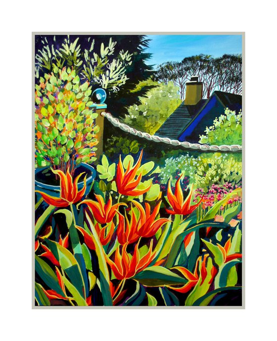 Ballerina Tulips on the patio