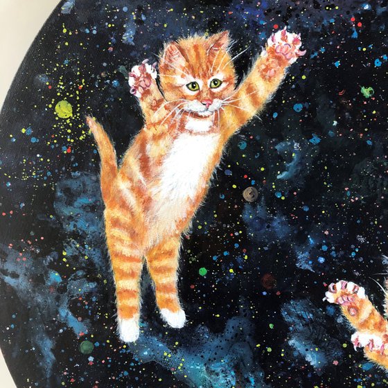 Ginger kittens in space