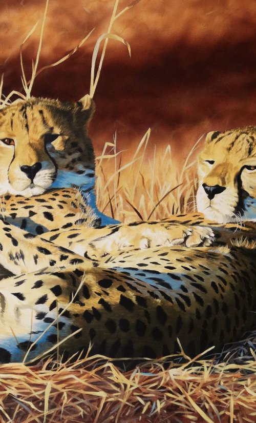 Brotherly love,Cheetahs by Julian Wheat