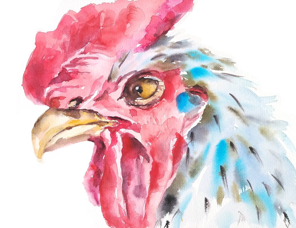 Rooster artwork, watercolor illustration by Tanya Amos