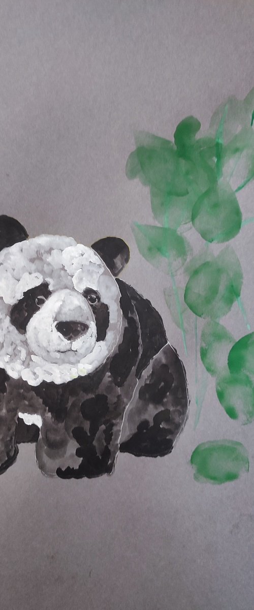 Panda 1 by Kira K. Sadian