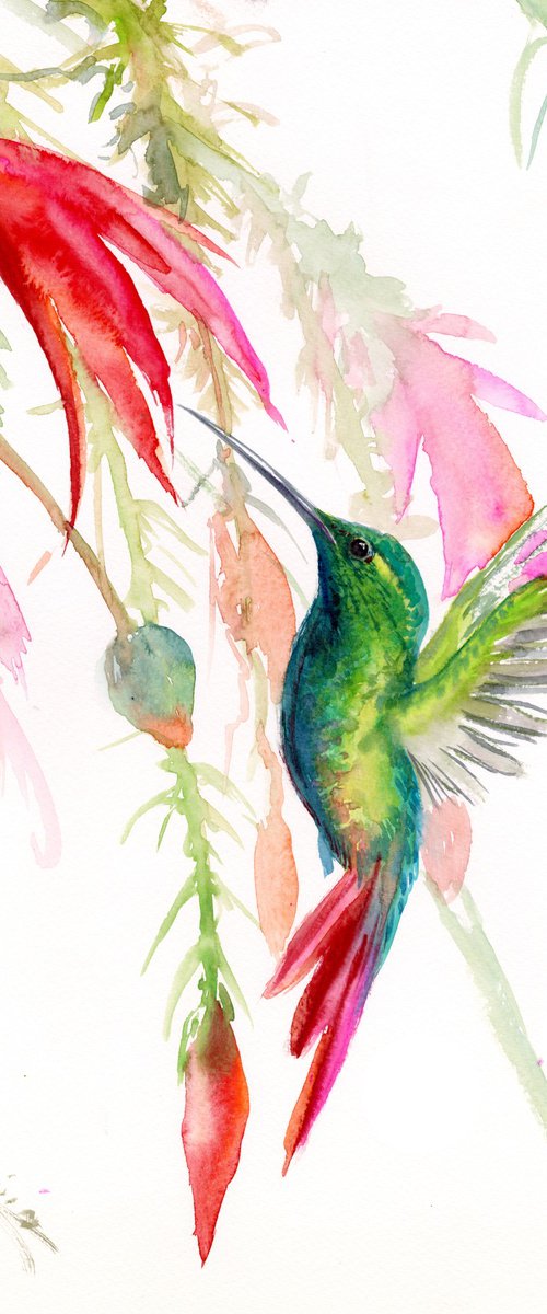 Hummingbird by Suren Nersisyan