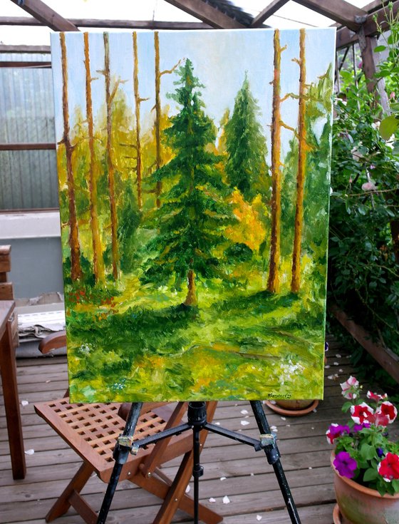 Summer Forest