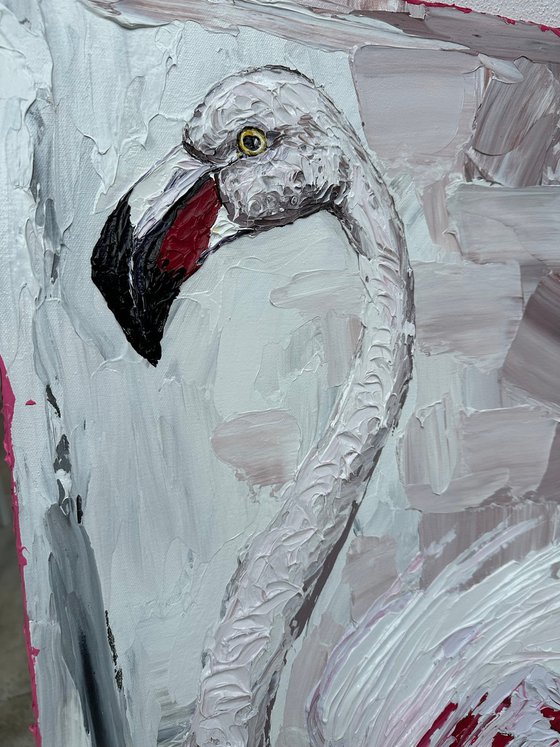 Magenta Flamingo