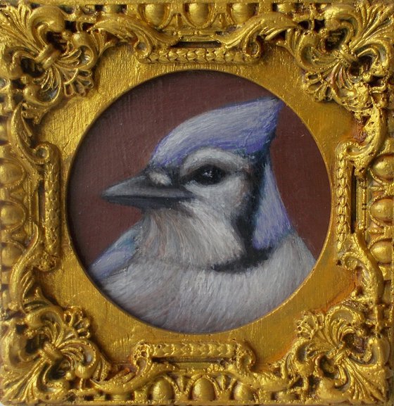 Blue Jay bird painting framed