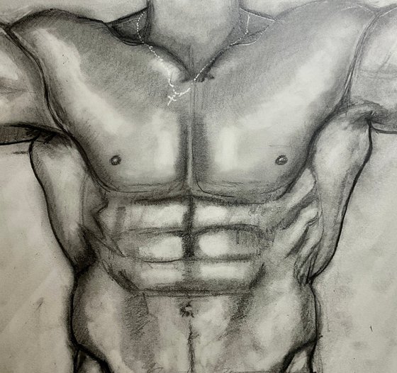 Male torso study 18x24