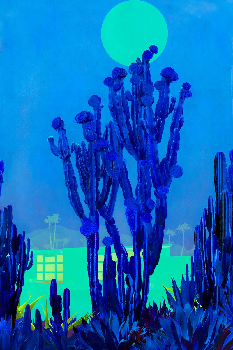 Surrealistic Landscape Photograph By Nadia Attura, 28 X 39", Cactus Moonlight, Original Artwork