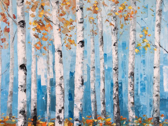 Birch trees forrest z048